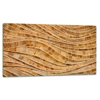 SZKLANA DESKA DO KROJENIA 52x30 d10239