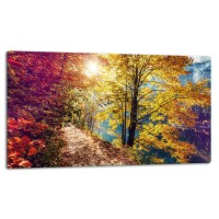 SZKLANA DESKA DO KROJENIA 52x30 d10585