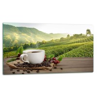 SZKLANA DESKA DO KROJENIA 52x30 d10684