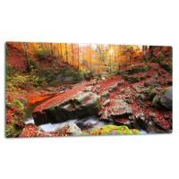 SZKLANA DESKA DO KROJENIA 52x30 d10791