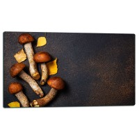 SZKLANA DESKA DO KROJENIA 52x30 d11028