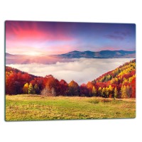 SZKLANA DESKA DO KROJENIA 52x40 d40289