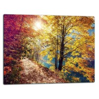 SZKLANA DESKA DO KROJENIA 52x40 d40592