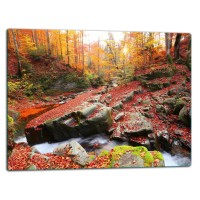 SZKLANA DESKA DO KROJENIA 52x40 d40801
