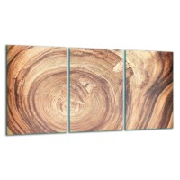 SZKLANA DESKA DO KROJENIA ZESTAW 3x30x52 30307