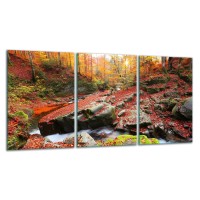 SZKLANA DESKA DO KROJENIA ZESTAW 3x30x52 30780