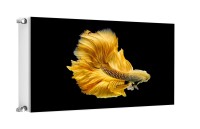 MATA MAGNETYCZNA NA KALORYFER 100x60 M03-0175