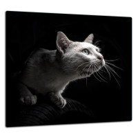 SZKLANA PŁYTA OCHRONNA DO KUCHNI 65x60
