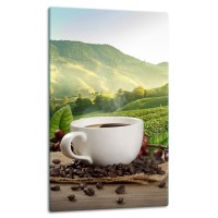 SZKLANA PŁYTA OCHRONNA NA KUCHENKĘ 30x52 10641