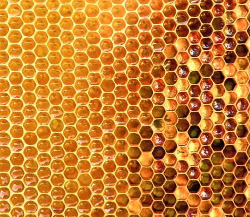 3e93116bee8dbf227e448db7d6d2dee8