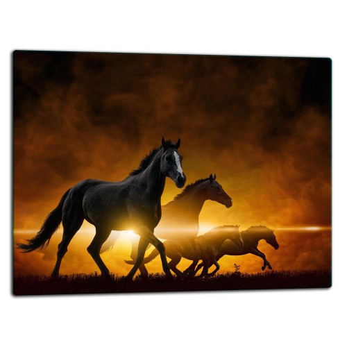 77d7b34710043363966b756df48f3d4a