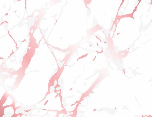 92c0f15ba314bc3a4330c5ab83f26007