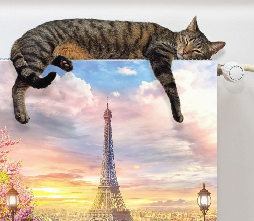 e731327d62b098e4a5279287b6709a6d