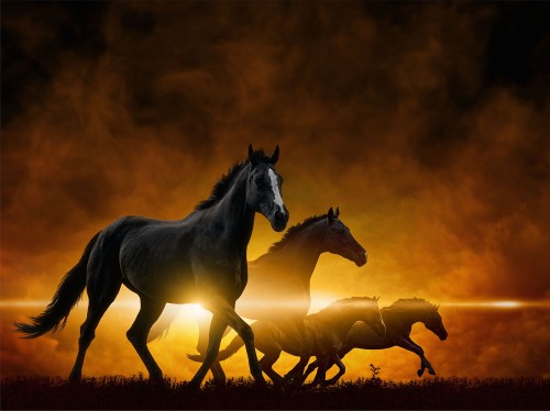 7b89a0db0b4106f9bcc1e74dbcf09ce3