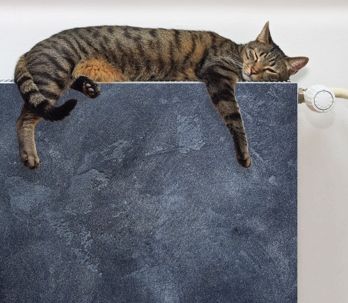 8db4fd26f162f1ba3b681e16f5f81d93