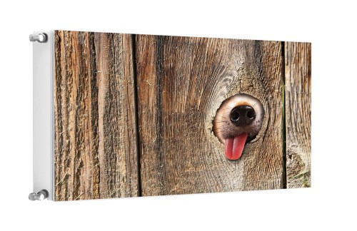 15c593c8a9051b10ea6f54268386ae1b