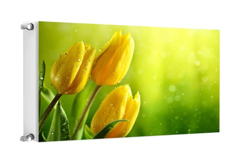 ad40b5bcfd513f4caeaf25cbeba6def2