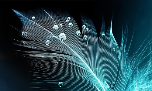 d2480ff4c1ce3be597d390c96835f8b5