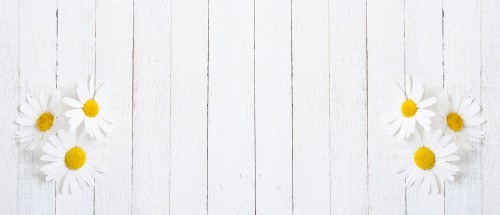 cb708368d0bda40041951bde854e5c50