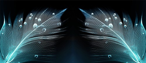 5a52f4c5f7da390666d4f19bc63a8a29