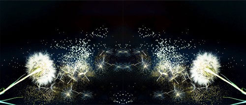 5267e7530eca64f632f49b02d487b80d