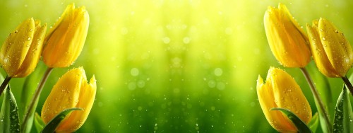 dbc75455c785f6402c7c525bb83f9117