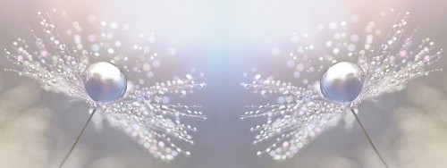 18eaf8ab0e4c1ccdacb1302a0dbae2d6