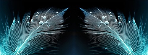 061791da04b2595fa9a858f72ab8d28c