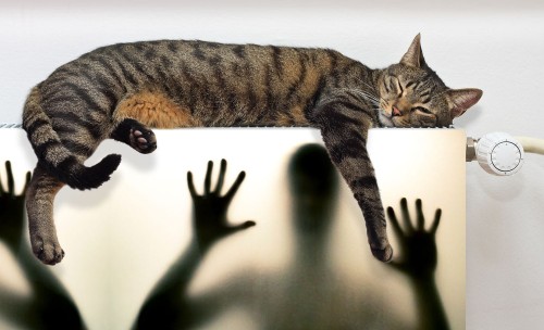 a3a657ea1d50a9361f5ccdcfbe8676e4