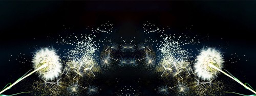 e71f1b306b6bf7bcac341a57d3d1099d