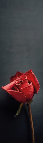 53f5502c7ebb265c0ecb501bfe93c9cb