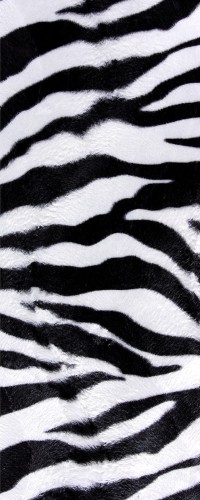 NAKLEJKA na DRZWI FOTOTAPETA 80x200 ZEBRA