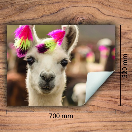 Mata ochronna na kuchenkę indukcyjną 70x52 cm - Mata antypoślizgowa na blat - Płyta ochronna zwijana - Dekoracja do kuchni - Więcej miejsca - Zwierzęta lama