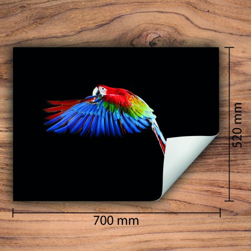 Mata ochronna na kuchenkę indukcyjną 70x52 cm - Mata antypoślizgowa na blat - Płyta ochronna zwijana - Dekoracja do kuchni - Więcej miejsca - Czarna papuga