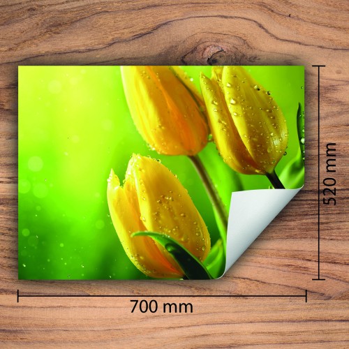 Mata ochronna na kuchenkę indukcyjną 70x52 cm - Mata antypoślizgowa na blat - Płyta ochronna zwijana - Dekoracja do kuchni - Więcej miejsca - Tulipany Żółta