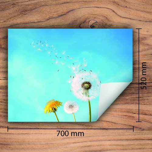 Mata ochronna na kuchenkę indukcyjną 70x52 cm - Mata antypoślizgowa na blat - Płyta ochronna zwijana - Dekoracja do kuchni - Więcej miejsca - Kwiaty Niebo