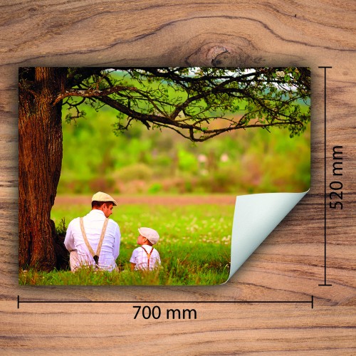 Mata ochronna na kuchenkę indukcyjną 70x52 cm - Mata antypoślizgowa na blat - Płyta ochronna zwijana - Dekoracja do kuchni - Więcej miejsca - Drzewo krajobraz