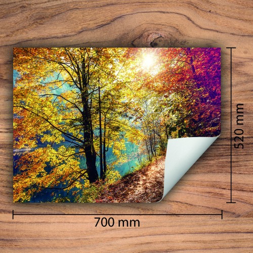 Mata ochronna na kuchenkę indukcyjną 70x52 cm - Mata antypoślizgowa na blat - Płyta ochronna zwijana - Dekoracja do kuchni - Więcej miejsca - Drzewa Jesień