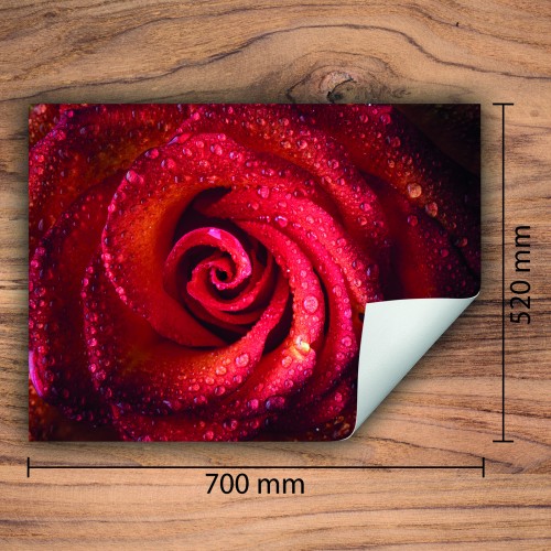 Mata ochronna na kuchenkę indukcyjną 70x52 cm - Mata antypoślizgowa na blat - Płyta ochronna zwijana - Dekoracja do kuchni - Więcej miejsca - Czerwona róża