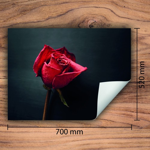 Mata ochronna na kuchenkę indukcyjną 70x52 cm - Mata antypoślizgowa na blat - Płyta ochronna zwijana - Dekoracja do kuchni - Więcej miejsca - Róża Czerwona