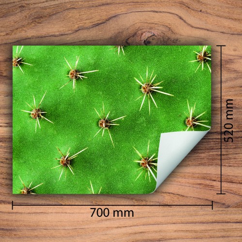 Mata ochronna na kuchenkę indukcyjną 70x52 cm - Mata antypoślizgowa na blat - Płyta ochronna zwijana - Dekoracja do kuchni - Więcej miejsca - Kaktus Zielona