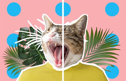 fe829e6bd5c6d317b88974a5657d5265