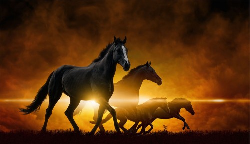 ff9162e8d8c34efa9b3c3b9fa09bbff8