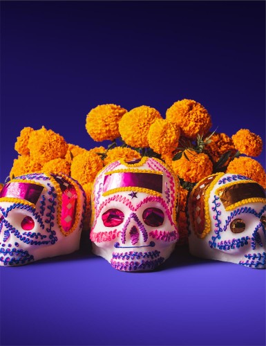 2884346b235ee3e02d0402667d4cf4ba