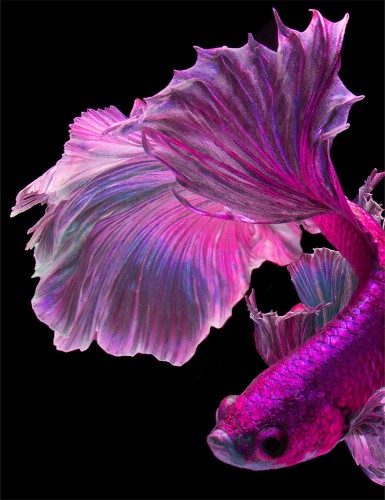 aa5c959e3ce437f8b23814fbc4d2cf5e