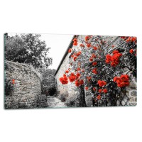 SZKLANA DESKA DO KROJENIA 52x30 d10268
