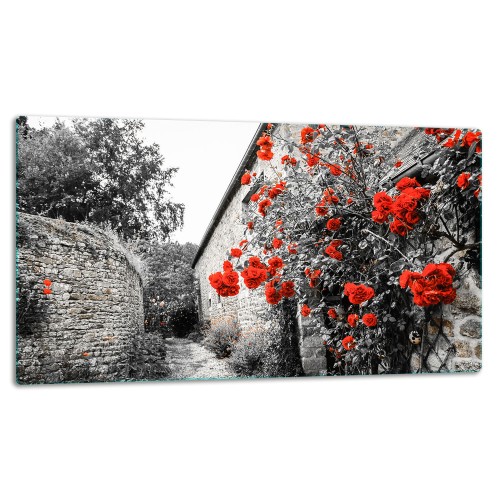 SZKLANA DESKA DO KROJENIA 52x30 d10268