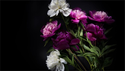 ad4802e701f0c402f369ac8fd763f0e2