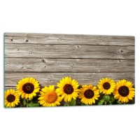 SZKLANA DESKA DO KROJENIA 52x30 d10389