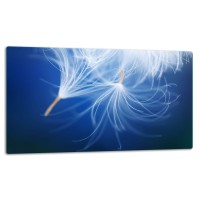 SZKLANA DESKA DO KROJENIA 52x30 d10424